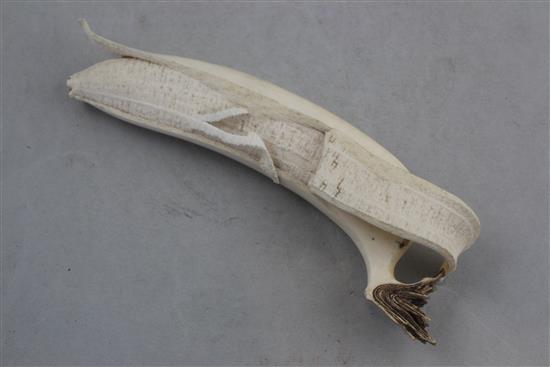 A Japanese ivory model of a partially peeled banana, early 20th century, 18.5cm. slight losses